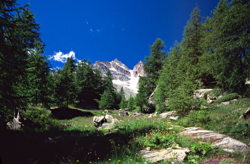 parco gran paradiso