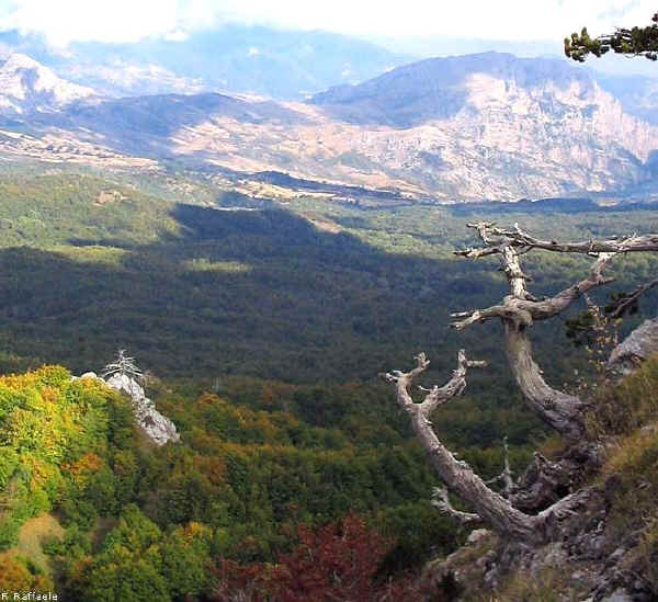 Il Parco Nazionale Del Pollino Viverlo In Camper Camper Life