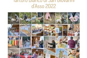 Tartufo Bianco di San Giovanni d'Asso 2023