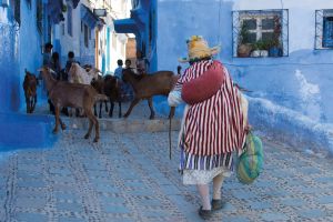 Viaggio in Marocco, la città bianca, la città blu
