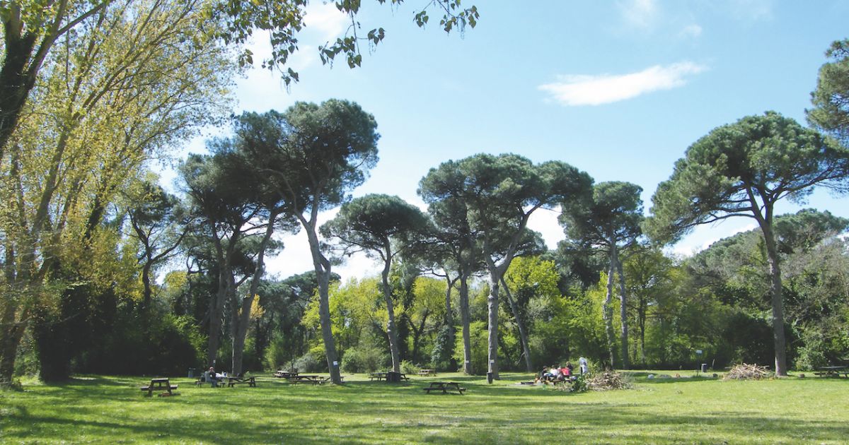 I Posti Piu Belli Dove Andare In Camper Vicino A Ravenna