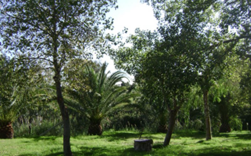 Monte Alto Patti Messina Sicilia Camperlife